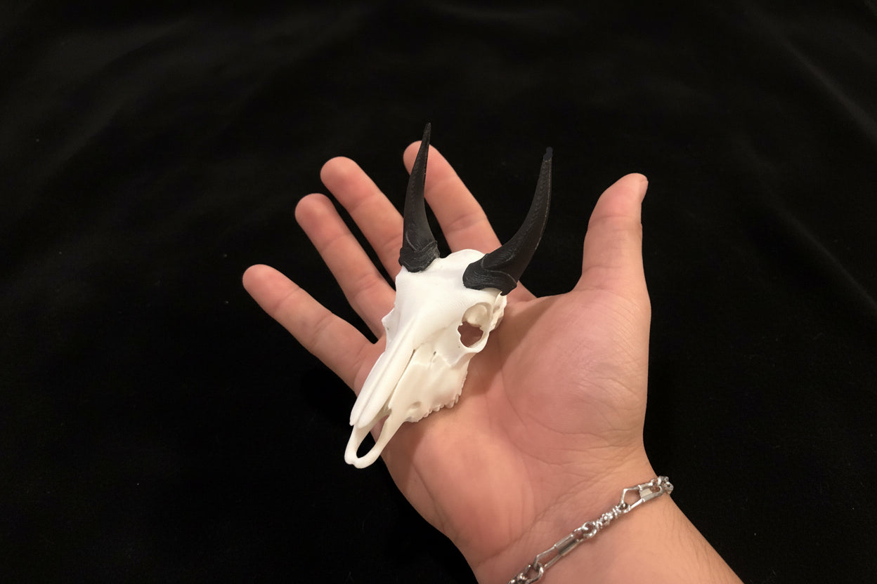 Bull Nilgai European 3D printed Skull